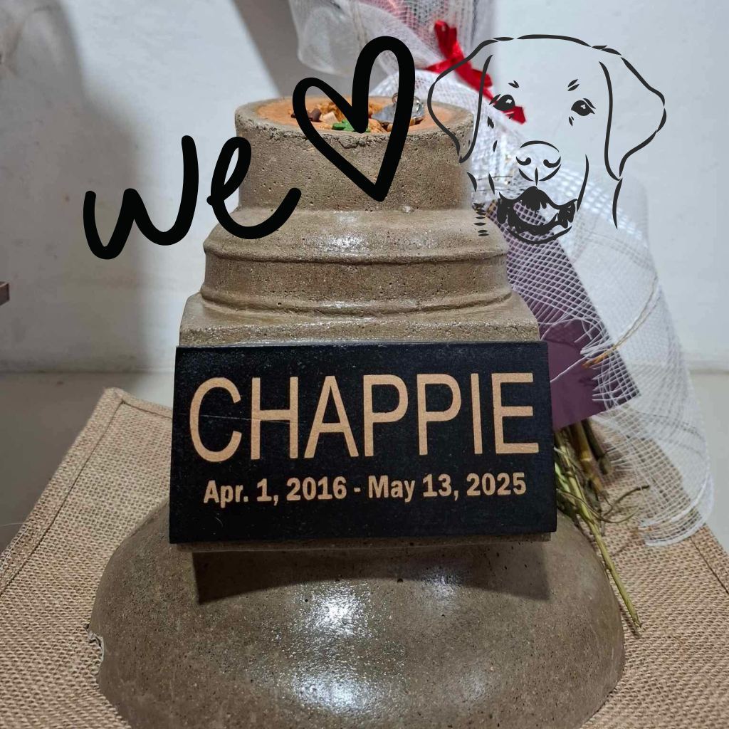 Chappie