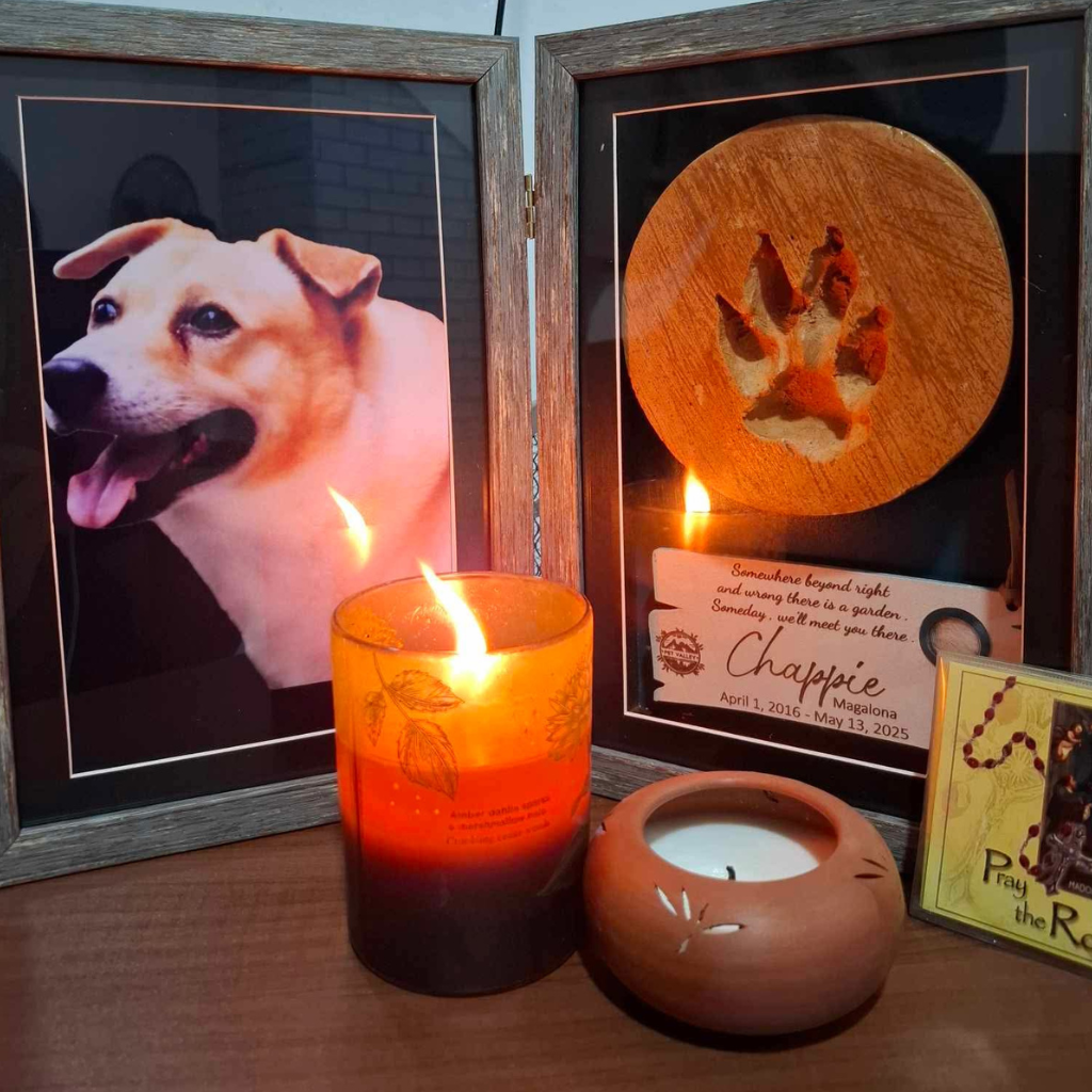 pet death